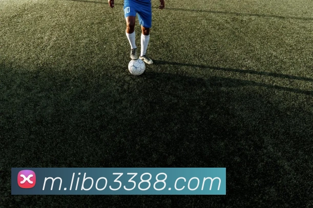 libo立博英国APP 封面图